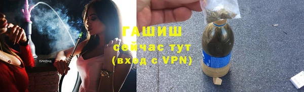 гашик Алексин
