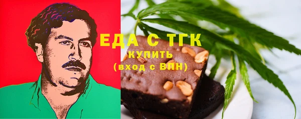 гашик Алексин