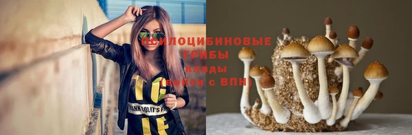 гашик Алексин