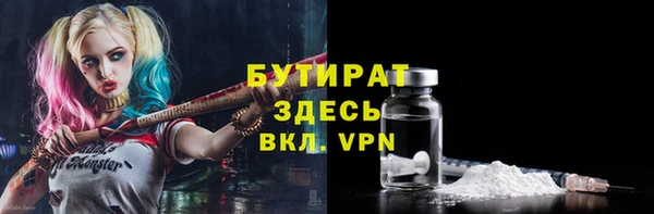 гашик Алексин