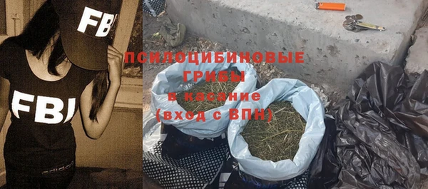 гидра Алексеевка