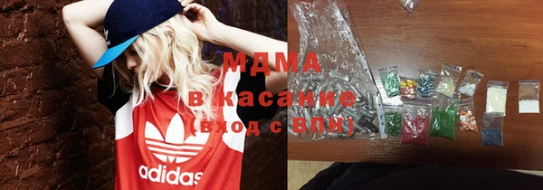 гашик Алексин