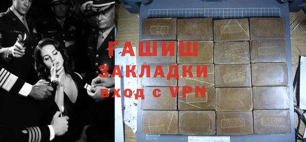 гашик Алексин