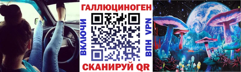 Галлюциногенные грибы Psilocybine cubensis  Ижевск 