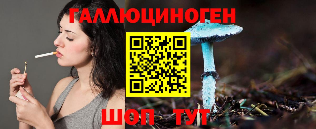 Ижевск  Псилоцибиновые грибы Psilocybine cubensis  Вход с VPN 